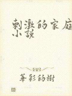 刺激的家庭乱仑小说封面