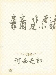 房客 作者:无罪国度小说全文免费封面