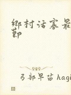 乡村活寡最新章节