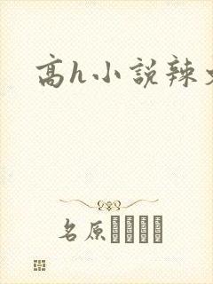 高h小说辣文