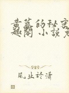 黄蓉的秘密 笔趣阁 小说免费阅读封面