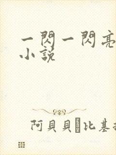 一闪一闪亮星星小说