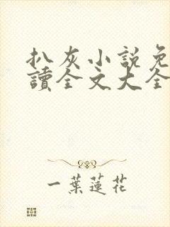 扒灰小说免费阅读全文大全封面