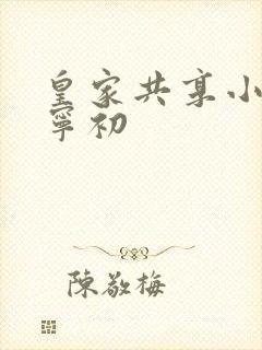 皇家共享小公主宁初