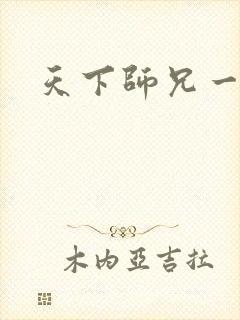 天下师兄一般黑封面
