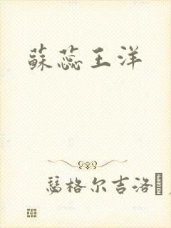 苏蕊王洋