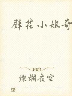 壁花小姐奇遇记封面