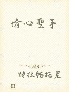 偷心圣手