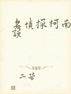 名侦探柯南h小说
