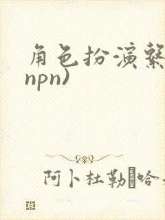 角色扮演系统(npn)
