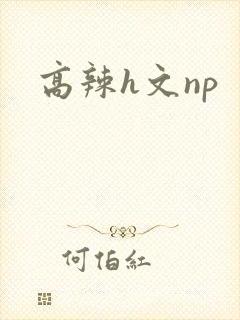 高辣h文np