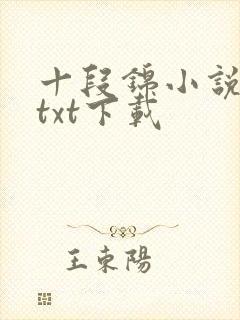 十段锦小说全本txt下载封面