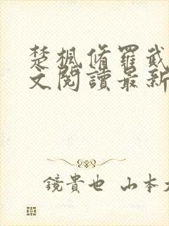 楚枫修罗武神全文阅读最新