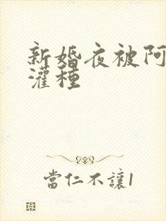 新婚夜被阿龟强灌种封面