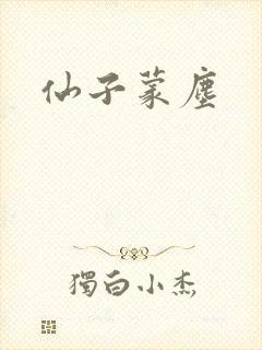 仙子蒙尘封面