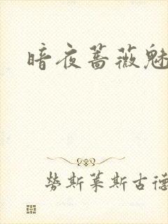暗夜蔷薇魅