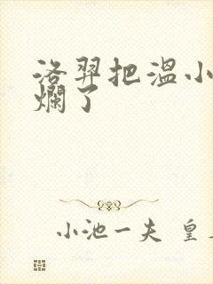 洛羿把温小辉做烂了封面