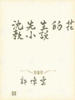沈先生的花式调教小说封面