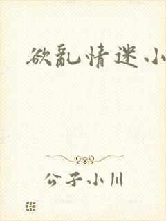 欲乱情迷小说