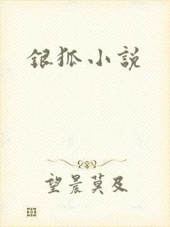 银狐小说