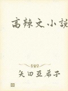 高辣文小说封面