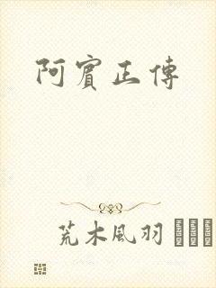 阿宾正传