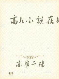 高h小说在线看