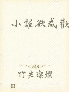 小说欲成欢
