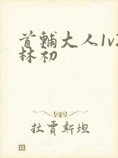 首辅大人1v2林初