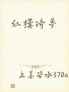 红楼琦梦封面