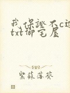 我保证不c进去txt御宅屋封面