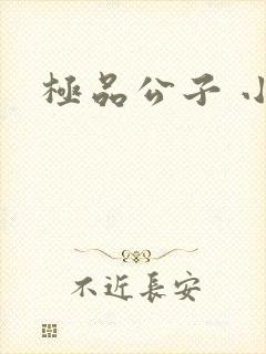极品公子 小说