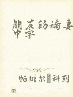 朋友的娇妻hd中字封面