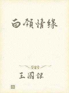 白领情缘