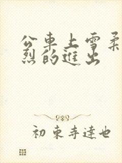 公车上雪柔被猛烈的进出