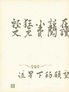 轻狂小说在线全文免费阅读