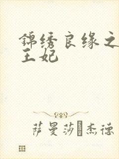 锦绣良缘之北地王妃封面