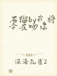 石榴by我将在今夜吻你