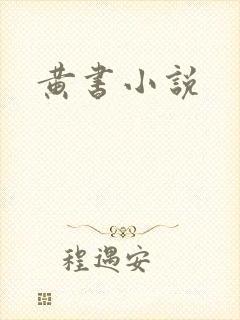 黄书小说