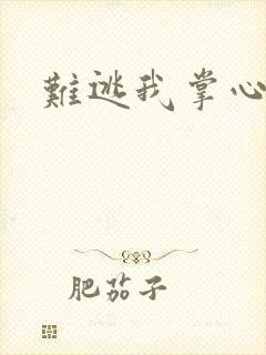难逃我掌心