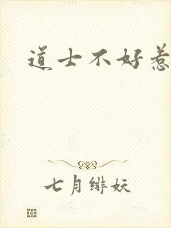 道士不好惹小说