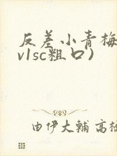 反差小青梅(1v1sc粗口)封面