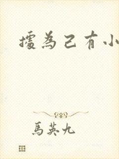 据为己有小说