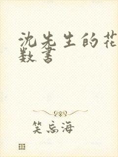 沈先生的花式调数书封面
