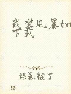 武装风暴txt下载封面