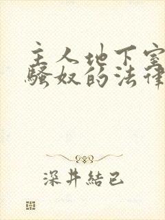 主人地下室惩罚骚奴的法律后果封面