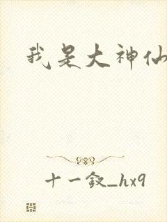 我是大神仙小说封面