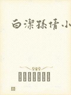 白洁孙倩小说封面