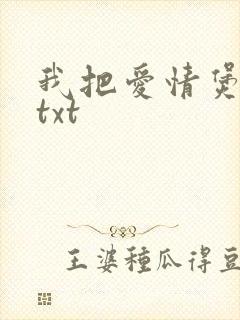 我把爱情煲成汤txt