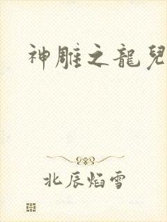 神雕之龙儿别传封面